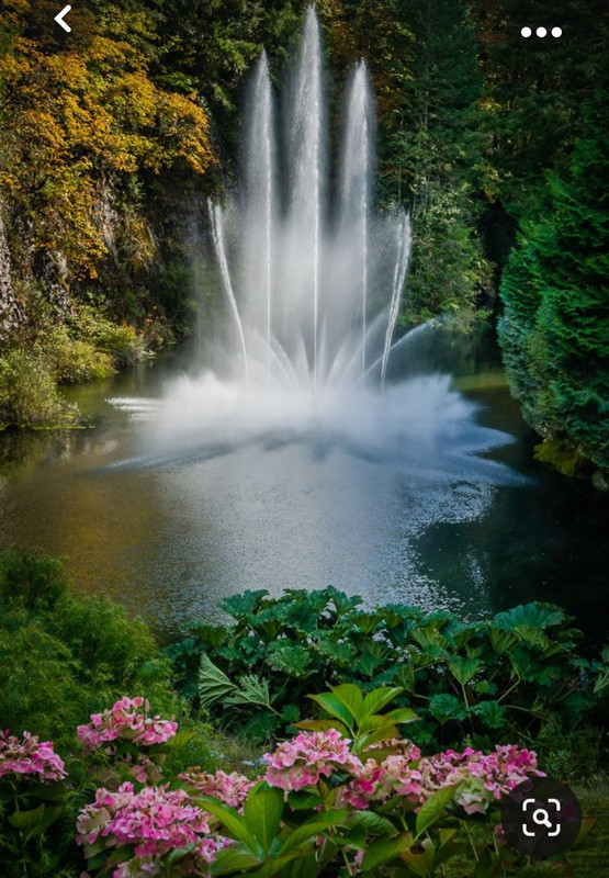 Screenshot_20231014_214034_Pinterest