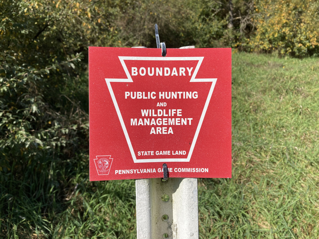 2024-10-23 9 Ruffed Grouse