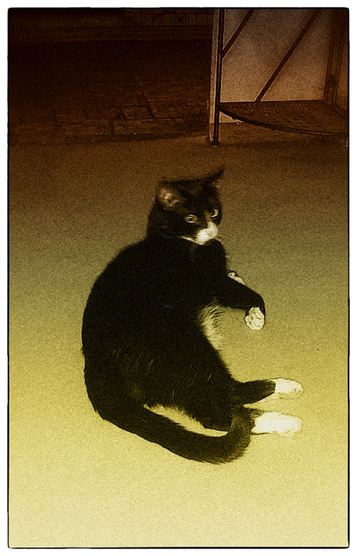 Кузендель © Вика Кузнецова, 28 декабря 2022 г.