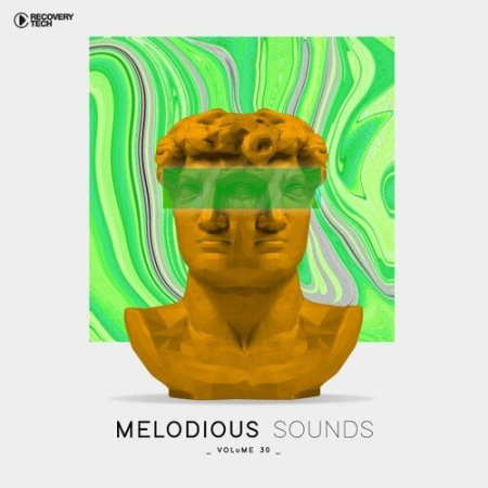 VA - Melodious Sounds Vol.30 (2022)