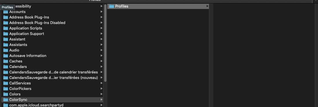 Capture d’écran 2021-01-16 à 11.57.09