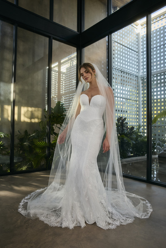 Carnelian Matching Bridal Veil Style BL494V Front View