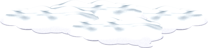 Christmasswishoffairydnsnows