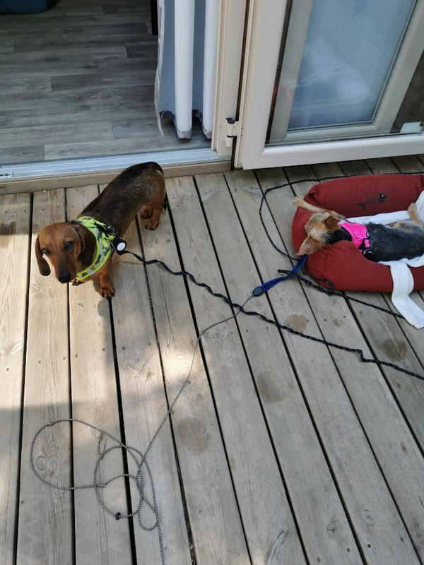 [Image: image000002-37.jpg]