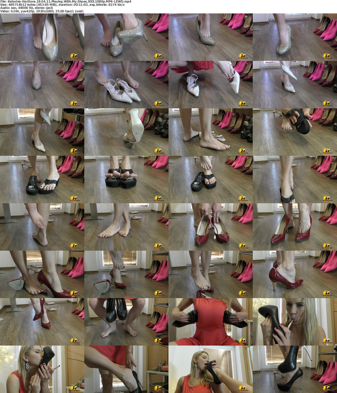 27052024224216screenshot