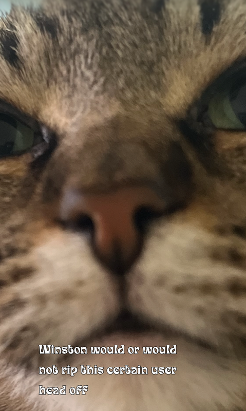 Untitled101-20250610150449.png