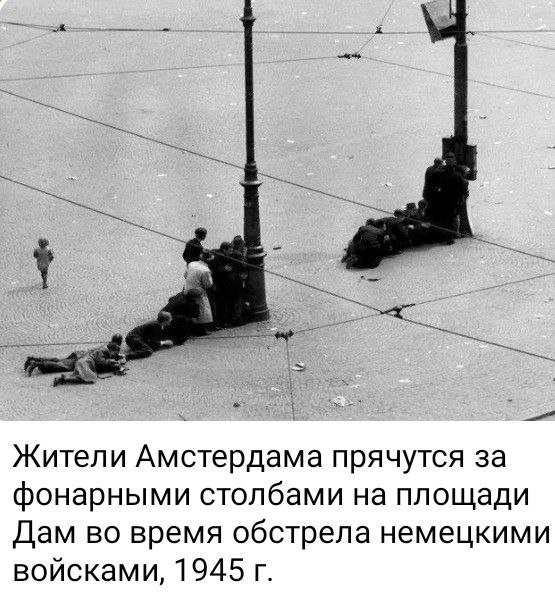 photo 2026 04 01 01 52 46