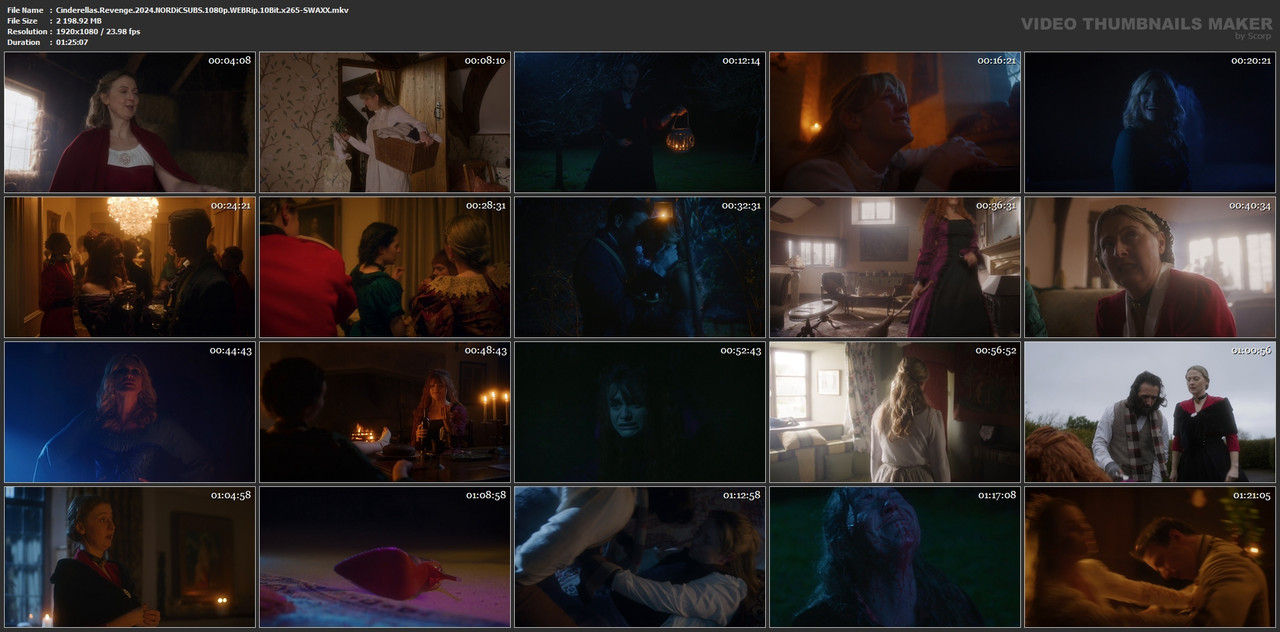 Cinderellas.Revenge.2024.NORDiCSUBS.1080p.WEBRip.10Bit.x265-SWAXX.mkv