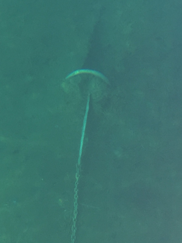 39F71733-161E-4FCE-92E3-E14D966433ED