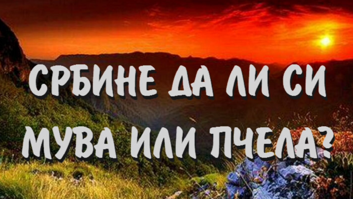 [Слика: IMG-9954.png]