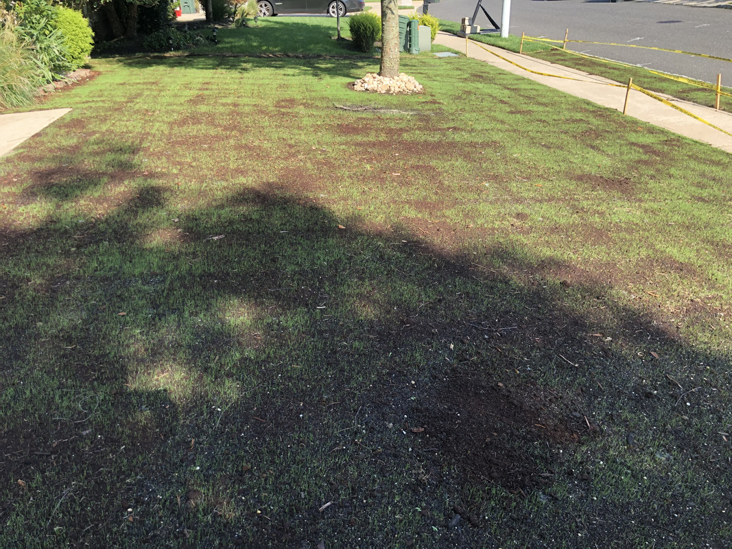 F2D31B17-E966-449E-878C-F173C1242BEC