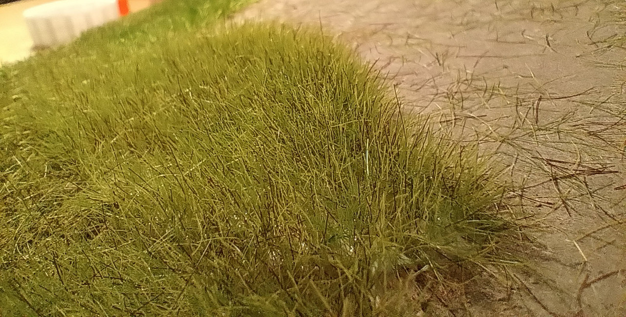 IMG_20250205_224739031