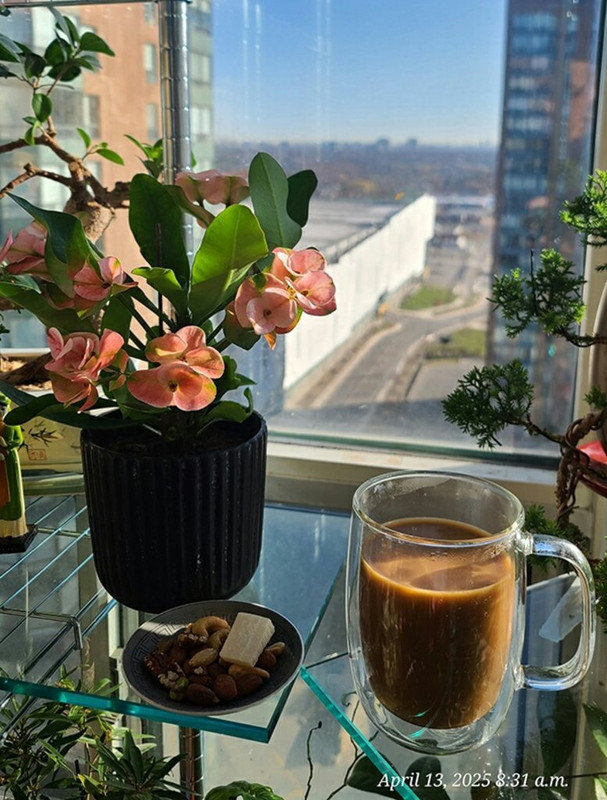 [Image: IMG_20250413_212024.jpg]