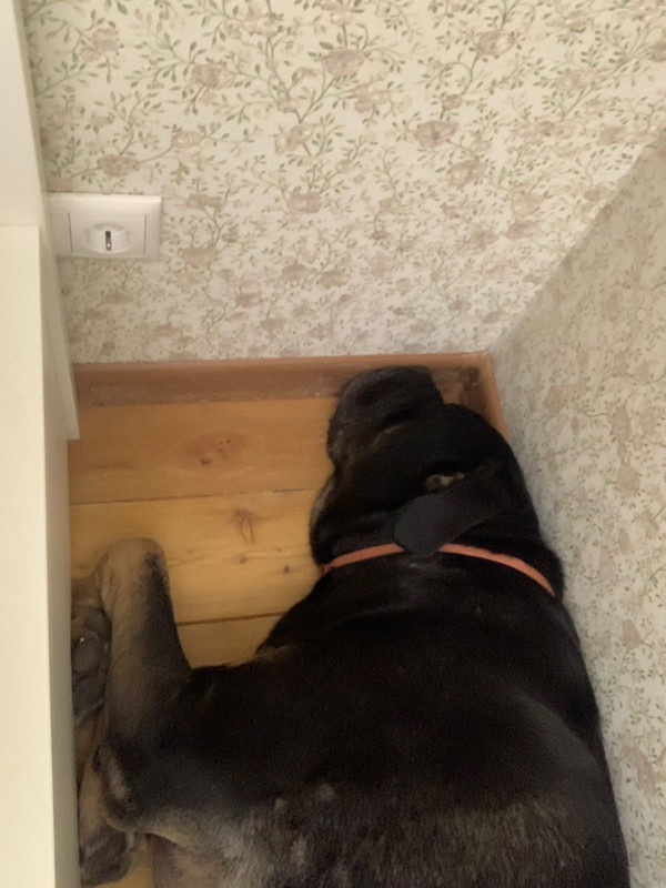 564FFF68-D55D-4FFF-AF5A-901DE0AAB5E3