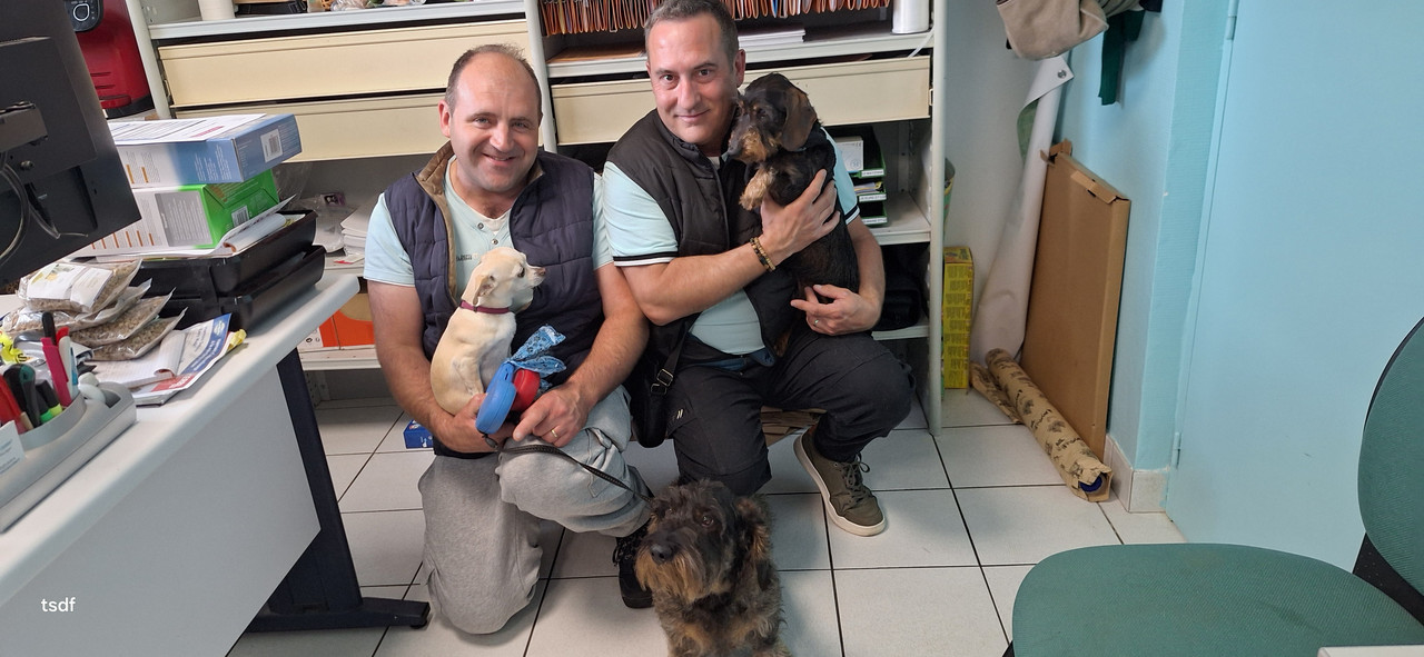 [Image: 20250422-155209.jpg]