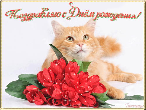 https://i.postimg.cc/dtfkrrk7/93db3f4313dd40cbdbfb2f7a75adc0f2-9a00c0bcb35a60e95d4f1cba02e3175d-141724823182-800px.gif