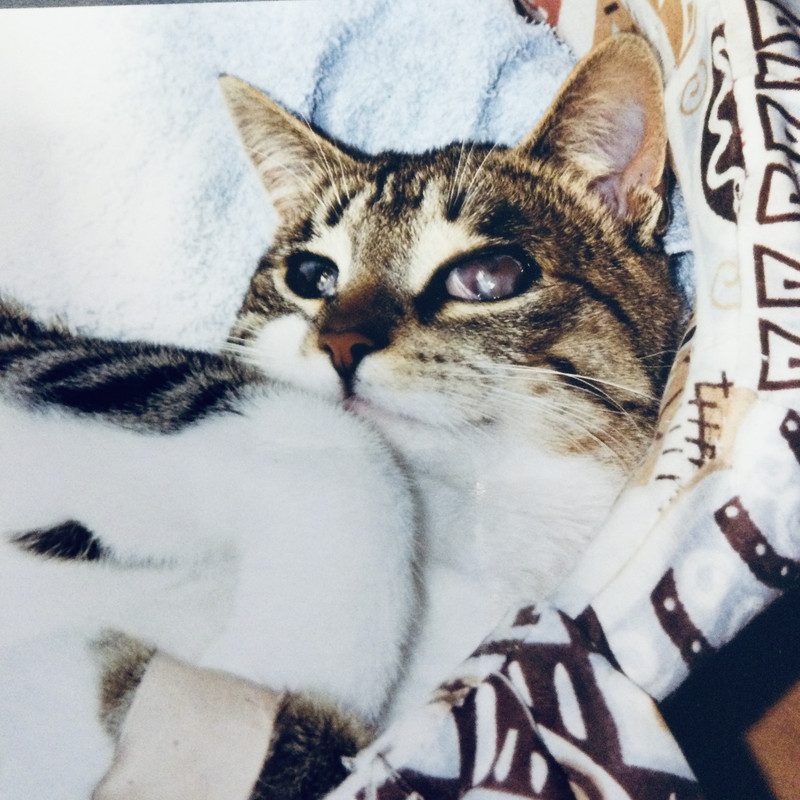 71325175-DD77-48CD-A2E4-D167B1F92697