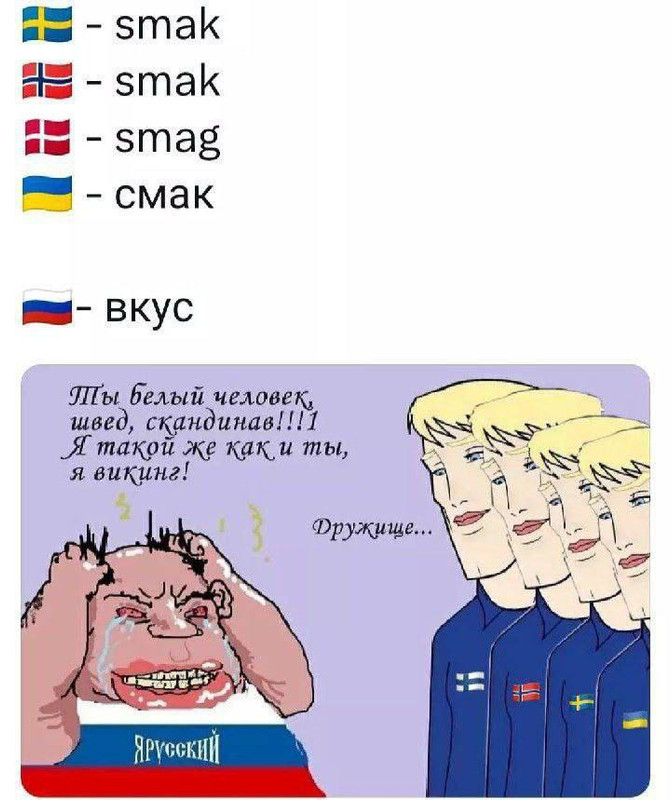 guys-which-language-is-chad-and-which-one-is-soyjack-im-v0-6t9uc334onue1