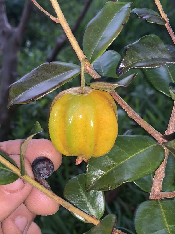 CA6559EF-CB86-4469-8B95-DC8C9080D27A