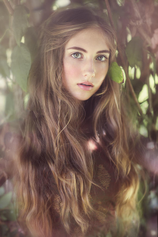 ���� ���� ������ �� ���� ������