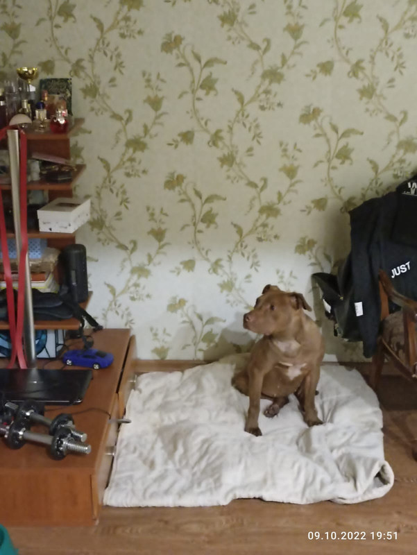 0B1B895E-5E96-4BBD-A8F6-0D1D7605EEC7