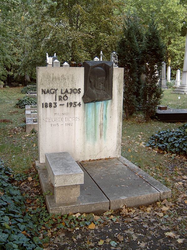 Nagy-Lajos-s-rja