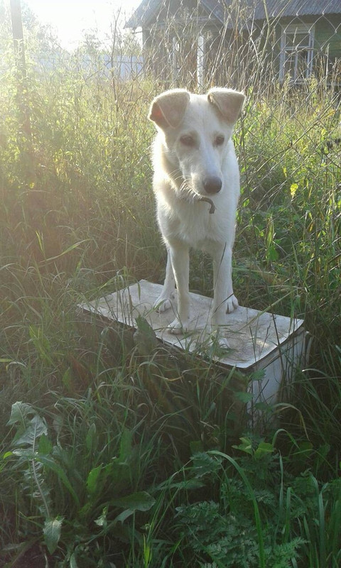 крема на выгуле