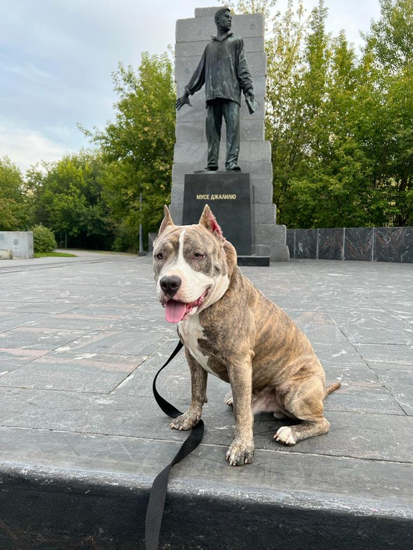 EFCDC1B5-7FAA-4B23-A5D3-A3396EE297D4