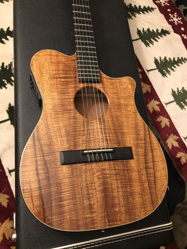 Re-NGD - Carvin CL450 Flame Koa | The Gear Page