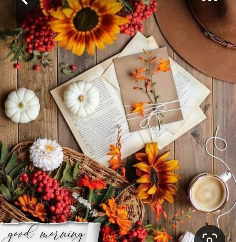 Screenshot_20230418_214348_Pinterest