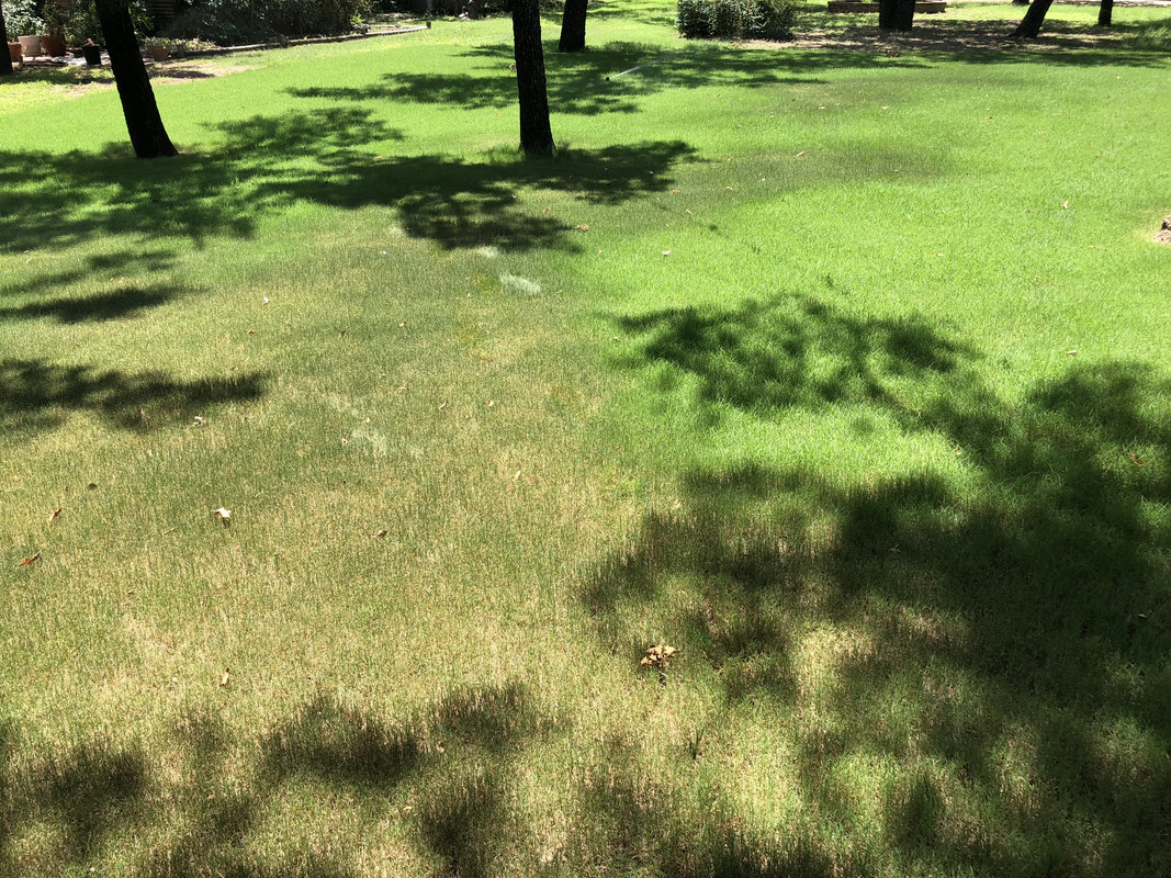 3C68E709-6DA1-4929-9E79-68AE8066B428