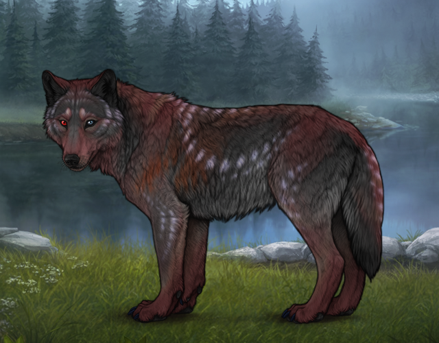 Chased Wolf Spotting!!! |:| Wolvden