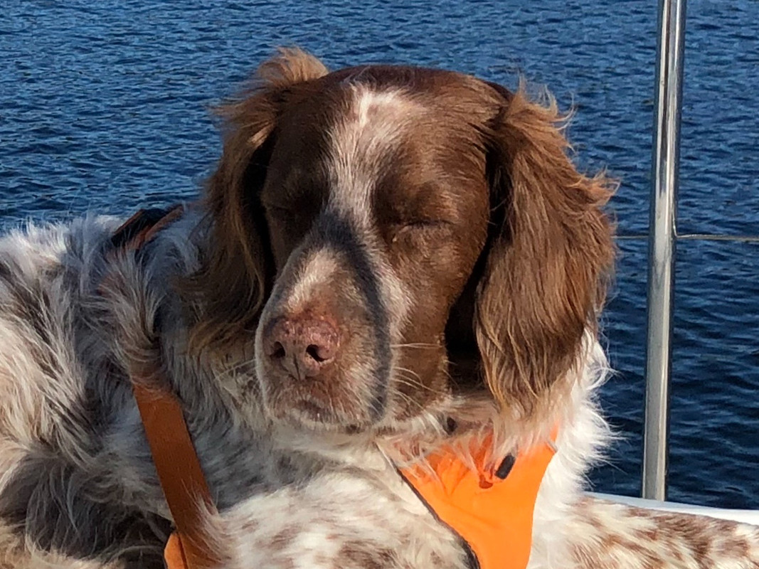 D612F706-3BB9-4580-9C2B-955DFD06DD54