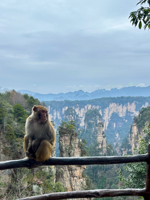 Día 8: Gran Cañón y segundo día en PN Zhangjiajie - Disfrutando de China por libre en 18 días (Marzo 2026) (7)