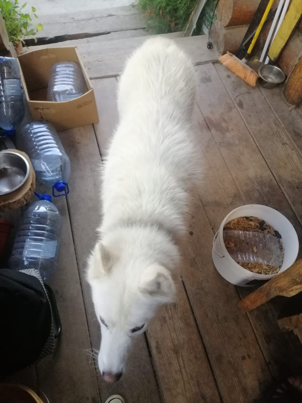 7F9D40AF-3F1C-4F1A-87E1-4D7778D96C18