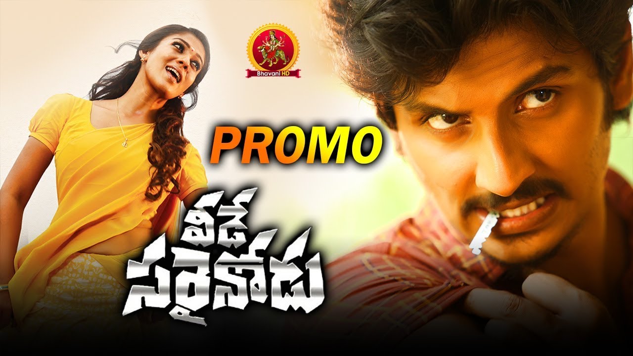 Veede Sarrainodu (2019) Veede Sarrainodu (2019)