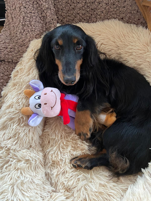 [Image: 14a1e5e2-3877-44e8-83f6-5eeaa2d2c91a.jpg]