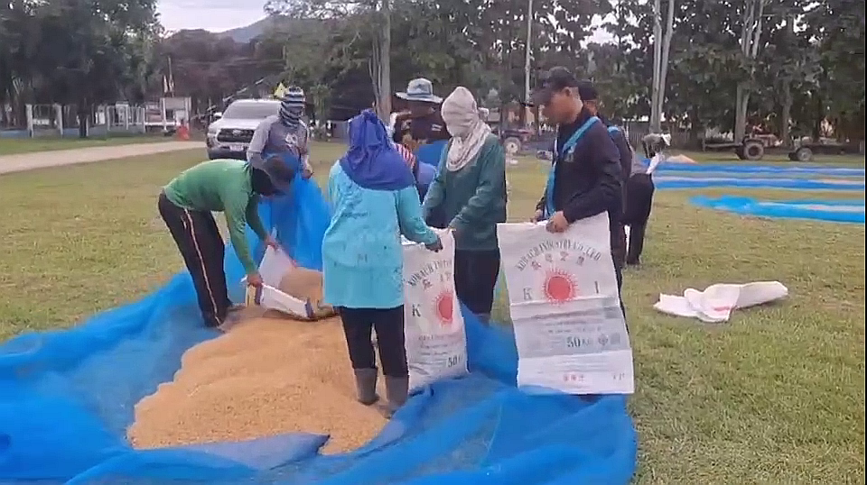 vlcsnap-2025-11-18-22h48m33s697