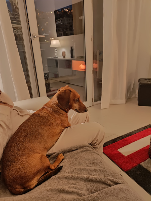 [Image: IMG20211113174556.jpg]