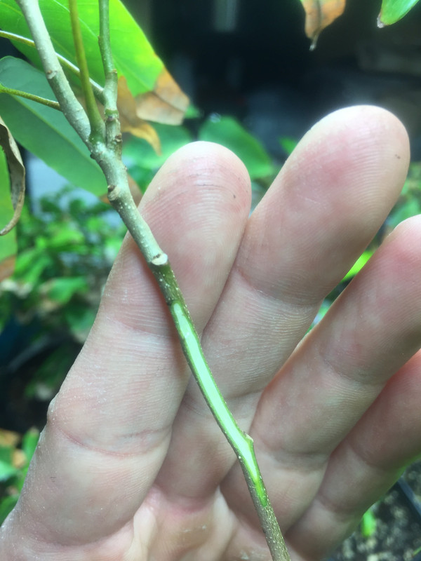 BB289CE0-9432-48A5-87C6-A2CB98FB92D3