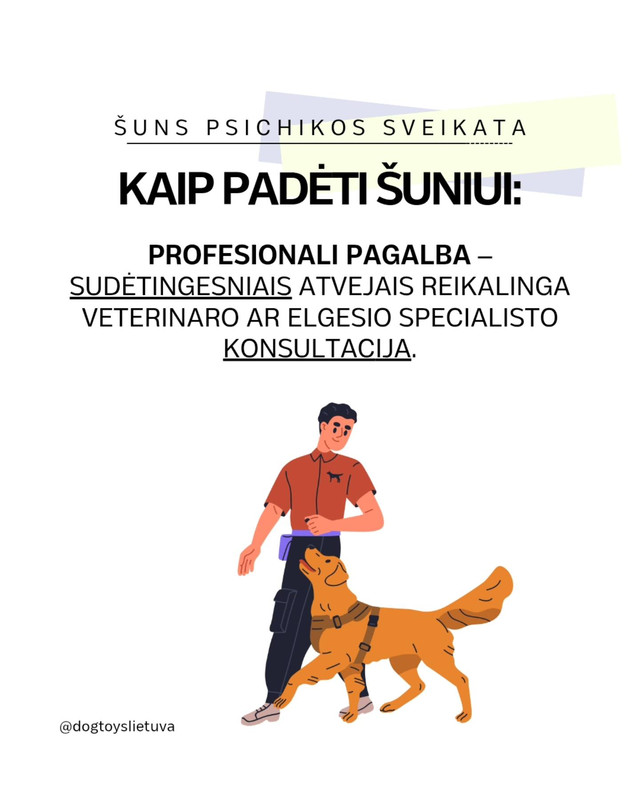 541465841 798245973369562 2454683682262004381 n