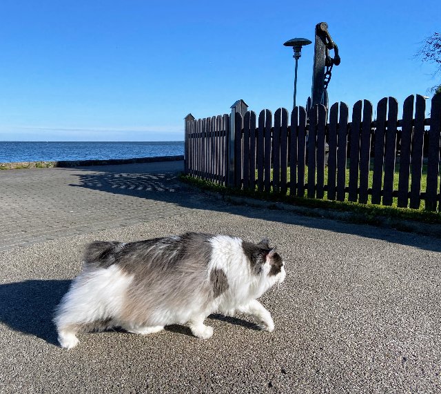 D058-DBAB-B483-475-B-B330-EDA106663-BA9.