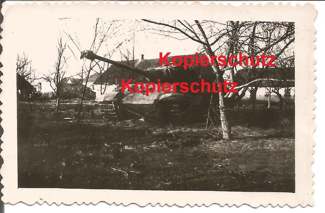 Tiger Panzer Abteilung 501 Königstiger in Polen bei Opatow 1944