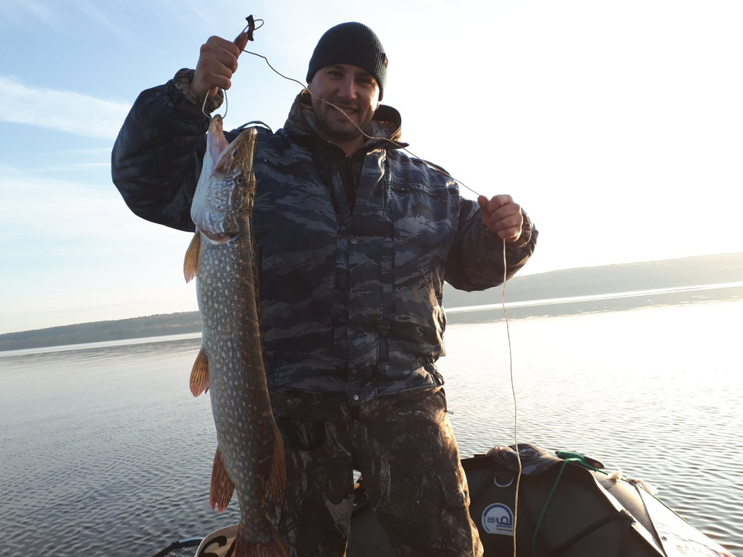 щука на чапаевке. святовское озеро тамбов рыбалка. рыбалка в чапаевске. фото рыбалки в тамбовской области летом свежие. сом елец рыбалка в контакте магазин.
