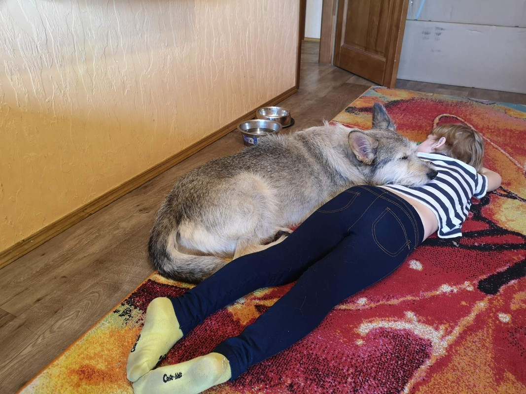 изображение_viber_2021-03-26_13-26-44