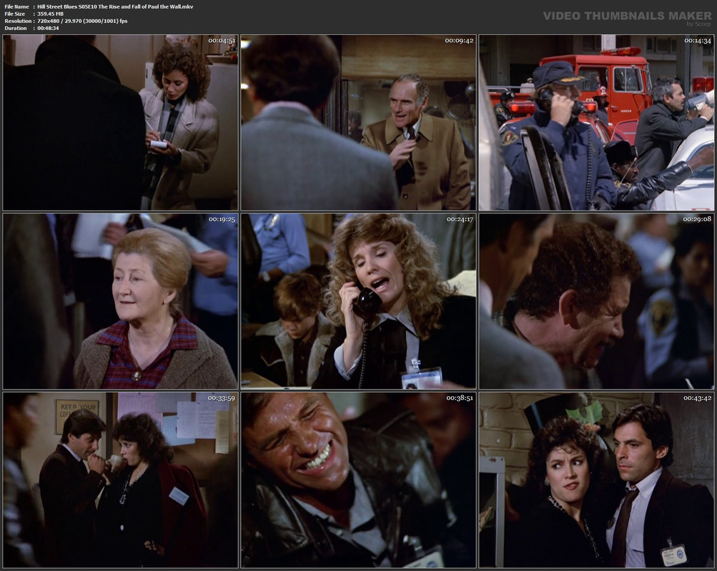 Hill Street Blues S05E10 The Rise and Fall of Paul the Wall.mkv