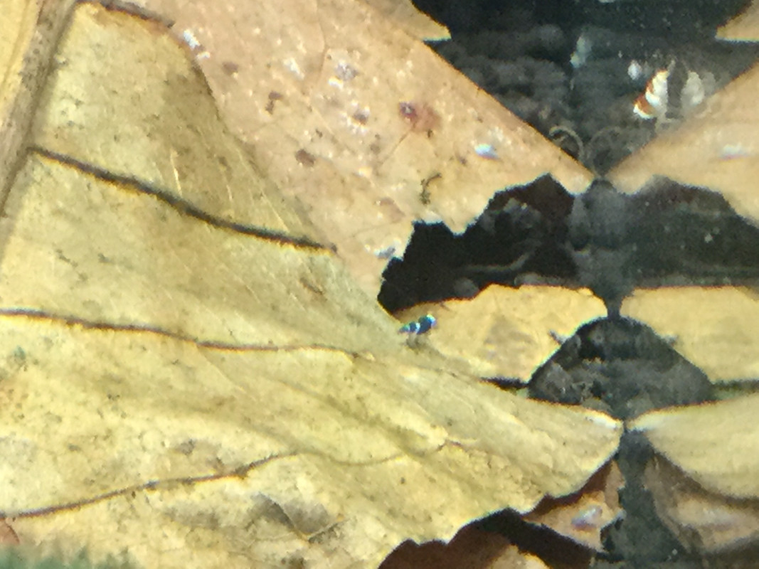 F8FF6695-93DD-4115-B222-575ED45B75FC