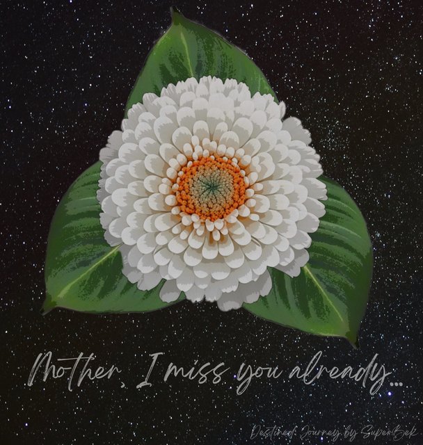 [Linked Image]