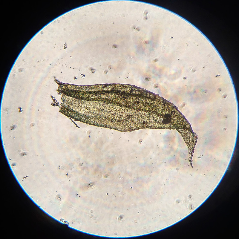 IMG 20250616 212653 HDR