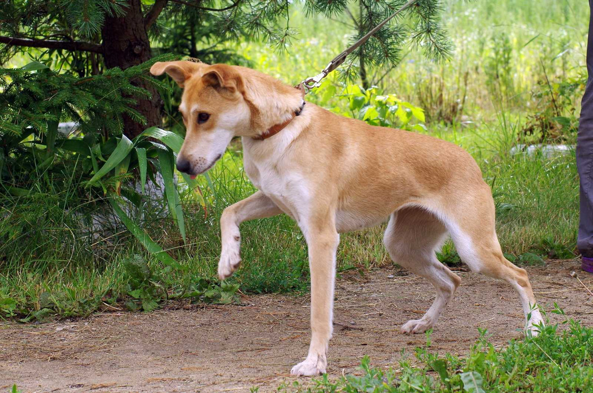 изображение_viber_2022-08-03_05-28-52-232